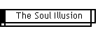 The Soul Illusion