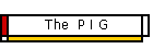 The  P I G